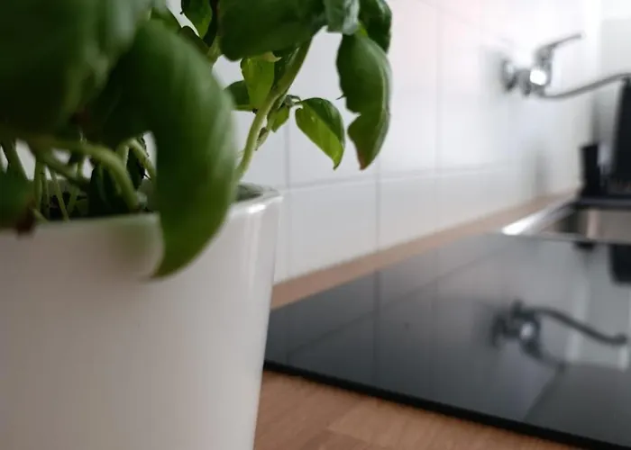 Tiburtina Terrace - Apartamento Roma